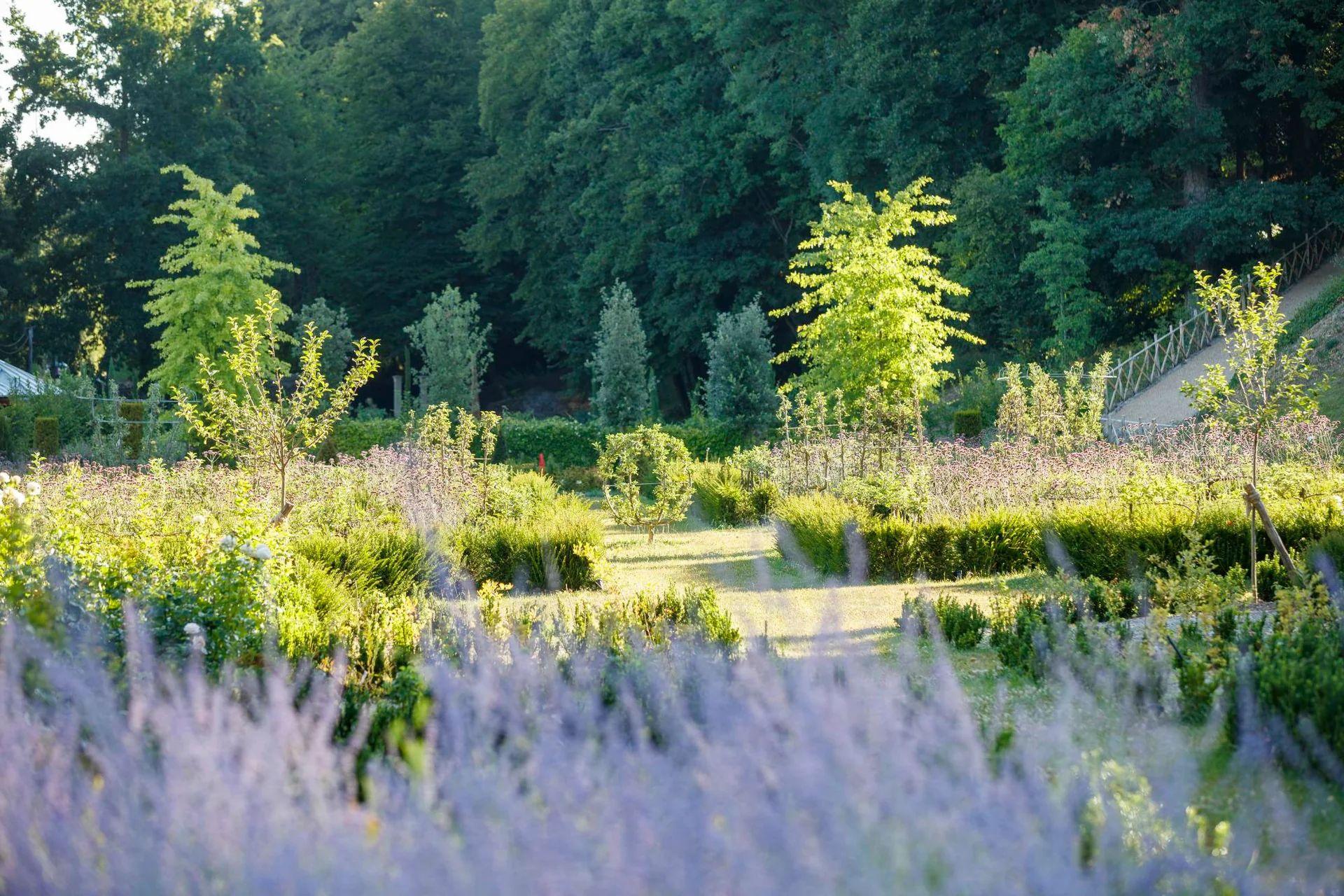 Chateau Louise & Louis - Cinéma à ciel ouvert