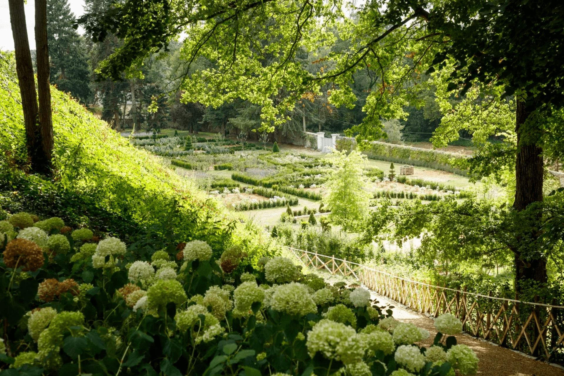 Chateau Louise & Louis - Fauna and Flora