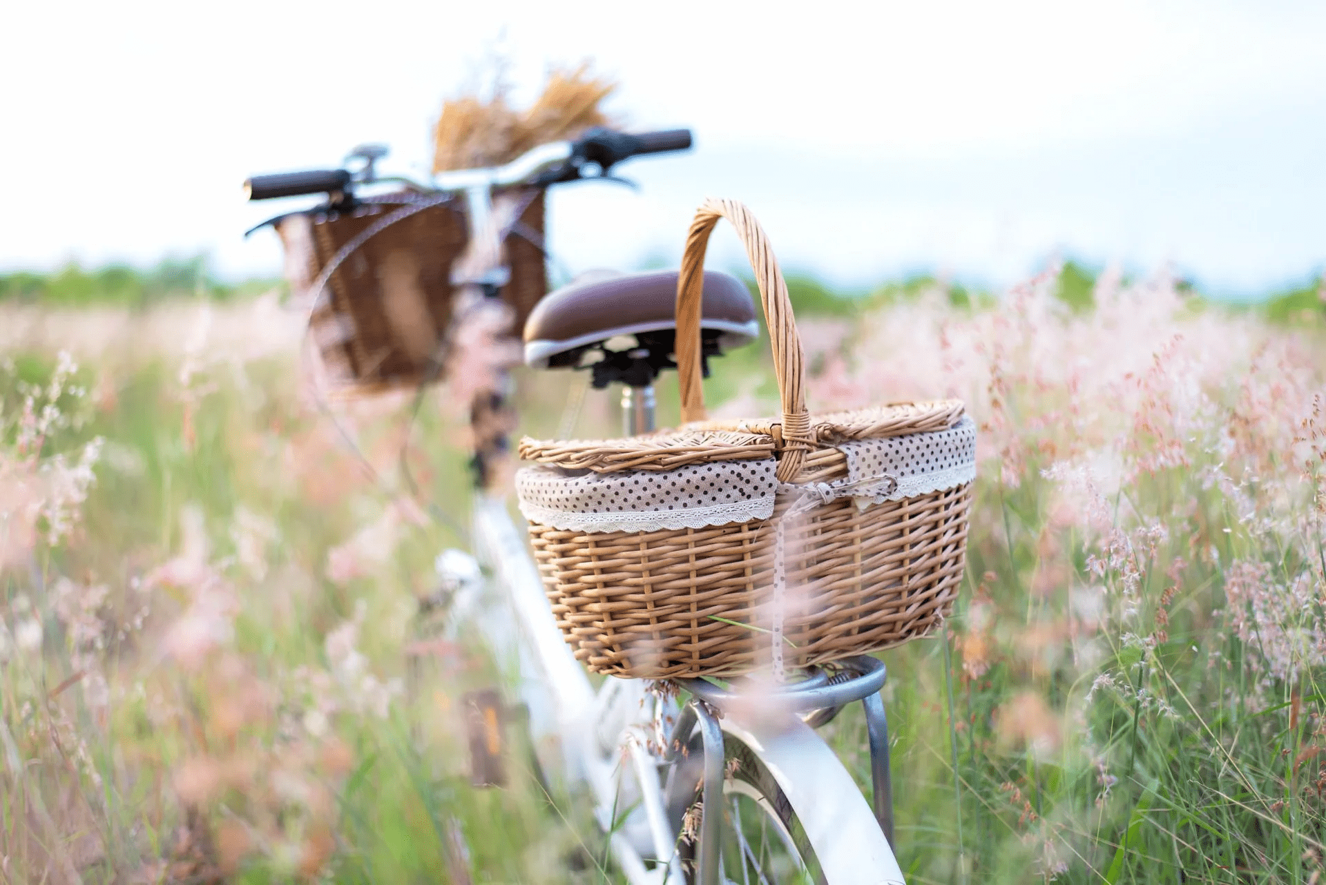 Chateau Louise & Louis - Picknick mit dem Fahrrad